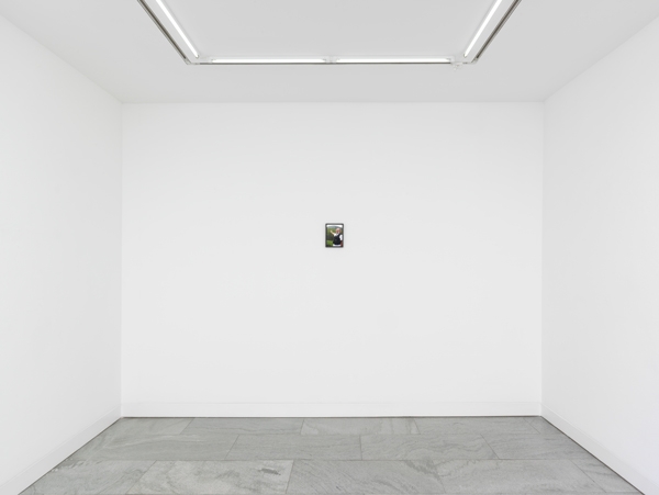 fresh-white-exhibition-view-web-5