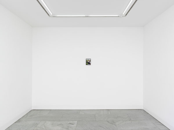 fresh-white-exhibition-view-web-1