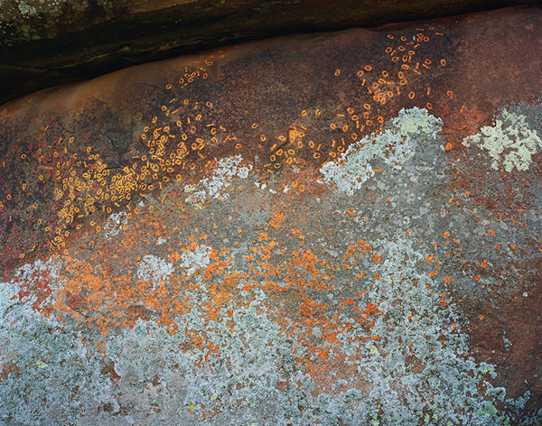 PotencyFilledThings_web800(1)