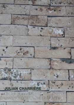 Julian Charrière – On The Sidewalk, I Have Forgotten The Dinosauria