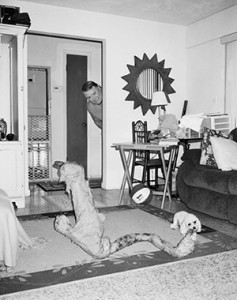 10168094_10153163941489292_507765823673752580_n